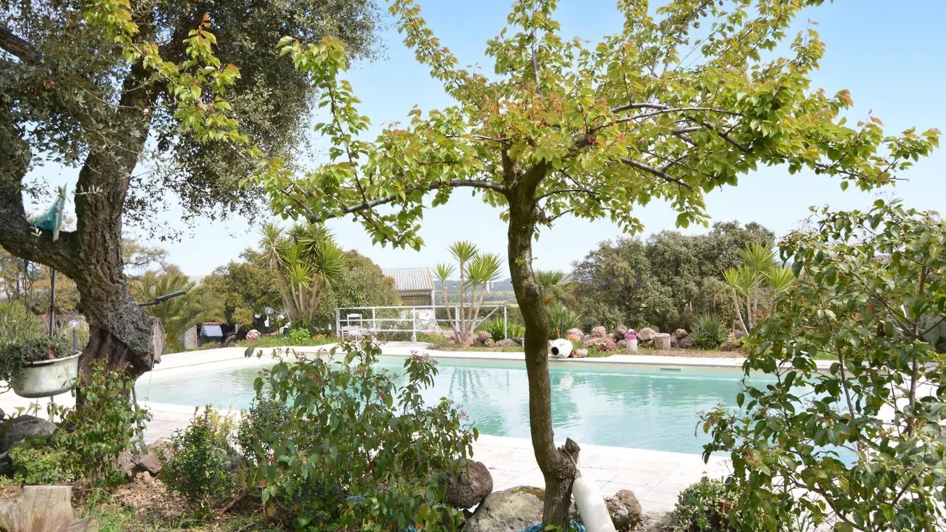 Pet Friendly Home In Sedini With Swimming Pool 0*,  Italie